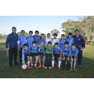 Copa Informatica 2017